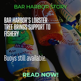 Bar Harbor’s Lobster Tree Brings Support To Fishery