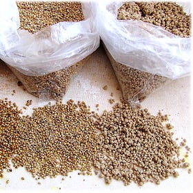 Why You Should Be Eating Millets