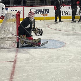 Magnus Hellberg's story is one of the best in the NHL this season