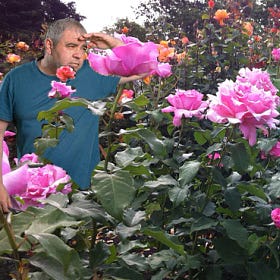 Report: Baseball Lost in Rose Bushes for "Foreseeable Future"