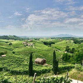 Prosecco, o vinho italiano mais consumido no mundo