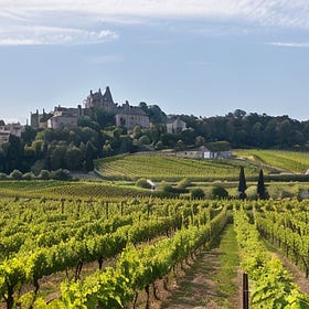 Tannic Panic! Issue #19: More Rhônes, Less Bones
