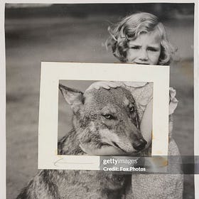 Lone Wolf 