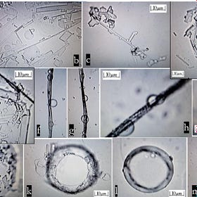 The Self-Assembling Poison Nano Bots in the mRNA Vaccines