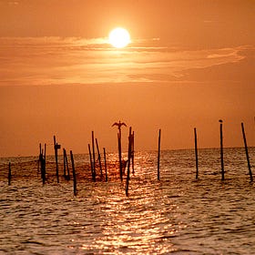 Chesapeake Stories