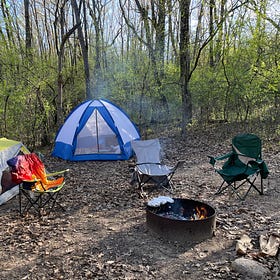 A Postcard from the Moss: May 2025