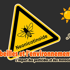 Les abeilles et l’environnement