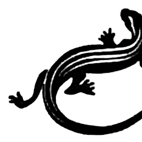 Jeanne D'Orge - The Chameleon (1916)