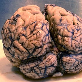 Tamiflu Autism and 100 other Mental Disorders