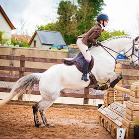 Megan and 'Western Ocala’ take Champion Horse at Hagans Croft