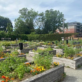 Growing Closer Through Gardening