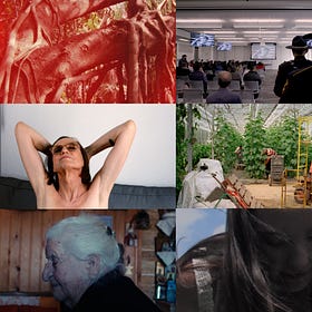 New Directors, Short Films