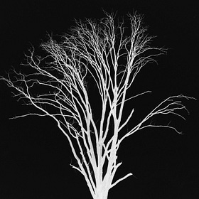 Remembrance (poem)