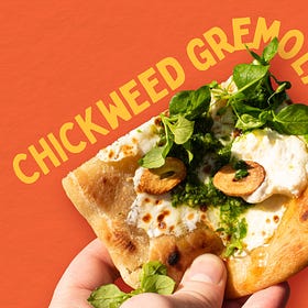 Chickweed Gremolata Pizza