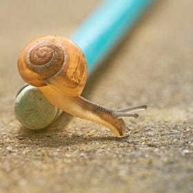 How Craft Fits Into the Slow Living Movement