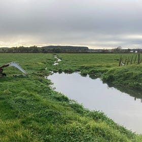 Punahau pilgrimage