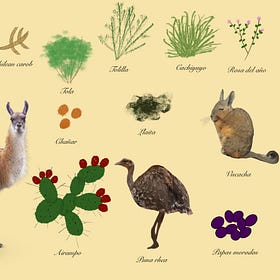 The Edible Plants of the Atacama Desert