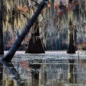 Dry Land 