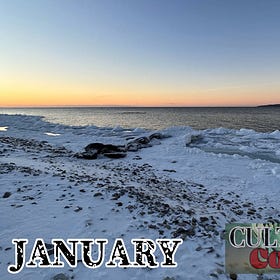 This Week in Michigan Was Strange