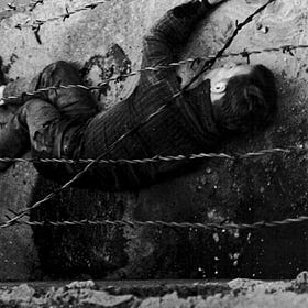 A Tidal Wave of Migrants Stands at Our Southern Border. We greet them with razor wire.