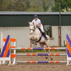 Glorious sunshine for NI Riding Clubs Show jumping Championships