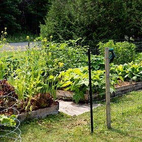Tend Your Garden