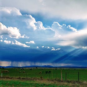 New Mexico's 4-season climate is at risk