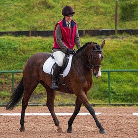 Dressage delight at Lusk's