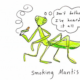 Getting Sober, and Also, You’re an Insect