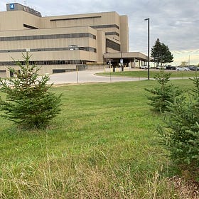 Letter: Help Save Our Forest at Owen Sound Hospital