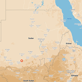 'Al Fula has fallen': RSF seize West Kordofan capital