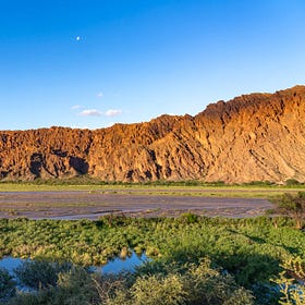 Make the Desert Bloom