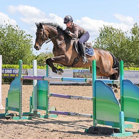 Bank Holiday weekend brings crowds to Connell Hill Training Show