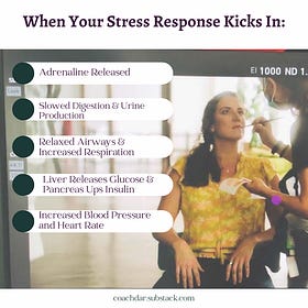 Stress Part 1: Stress and the Nervous System