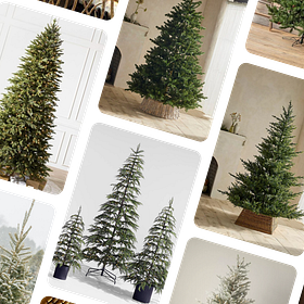 Christmas Trees for 2024