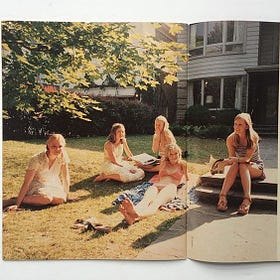 the virgin suicides