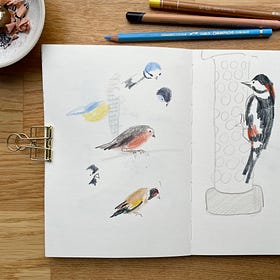 REPLAY: Winter Garden Birds Drawing Session