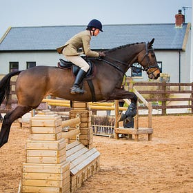 Bernadette and ‘Teo's Chance’ take Horse Champion at Hagans Croft Working Hunter
