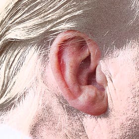An exclusive interview with Donald Trump's ear
