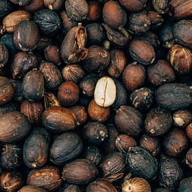 Coffee, Sustainability, and Shifting Perceptions