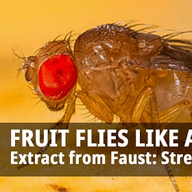 Fruit Flies Like a Banana: Extract from Faust: Stretch Out Time 1970-1975