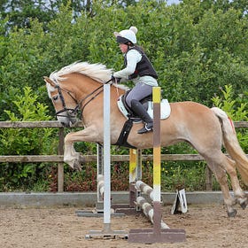 Molly takes red rosettes at Connell Hill Training Show