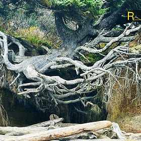 Resilience Explained: Your Comprehensive FAQ