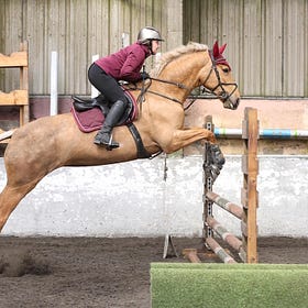 Competitors in top form at Connell Hill Indoor Training Show