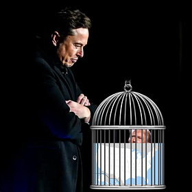 Things Musk (and Trump) Did... Day 56 | Blog#42