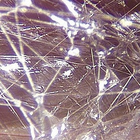 Living Fascia