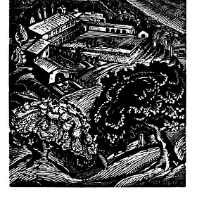 Virginia deS. Litchfield - 9 Woodcuts (1928-32)
