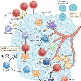 Cancer: hundreds of complex diseases that are plagued with misinformation