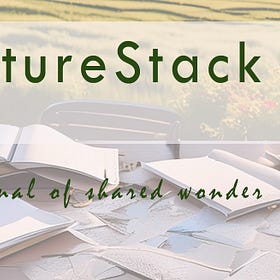 🍃 03 | NatureStack: shared wonder