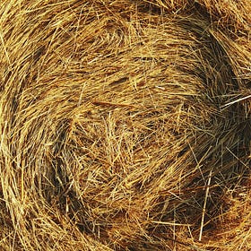 Finding The Needle In The Haystack While Dating